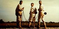O Brother Where Art Thou? - 8 x 10 Color Photo #7