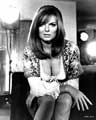 On Her Majesty's Secret Service - 8 x 10 B&W Photo #5