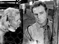 On the Waterfront - 8 x 10 B&W Photo #7