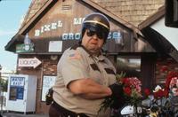One Night at McCool's - 8 x 10 Color Photo #7