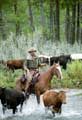 Open Range - 8 x 10 Color Photo #2