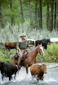 Open Range - 8 x 10 Color Photo #2