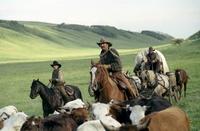 Open Range - 8 x 10 Color Photo #6