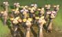 Open Season - 8 x 10 Color Photo #5