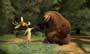 Open Season - 8 x 10 Color Photo #9