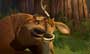 Open Season - 8 x 10 Color Photo #13