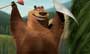 Open Season - 8 x 10 Color Photo #14
