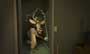 Open Season - 8 x 10 Color Photo #20