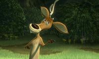 Open Season - 8 x 10 Color Photo #3