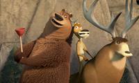 Open Season - 8 x 10 Color Photo #11