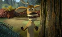 Open Season - 8 x 10 Color Photo #19