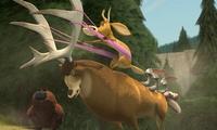 Open Season - 8 x 10 Color Photo #23