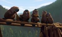 Open Season - 8 x 10 Color Photo #26