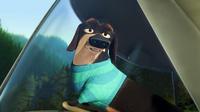 Open Season - 8 x 10 Color Photo #32