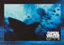 Open Water - 8 x 10 Color Photo #2