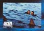 Open Water - 8 x 10 Color Photo #3
