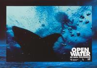Open Water - 8 x 10 Color Photo #2