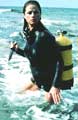 Orca - 8 x 10 Color Photo #1