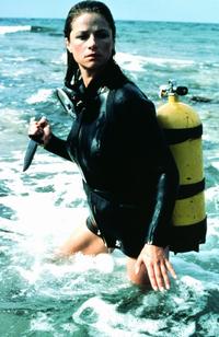 Orca - 8 x 10 Color Photo #1