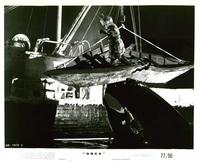 Orca - 8 x 10 B&W Photo #3