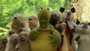 Over the Hedge - 8 x 10 Color Photo #2