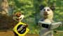 Over the Hedge - 8 x 10 Color Photo #15