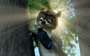 Over the Hedge - 8 x 10 Color Photo #22