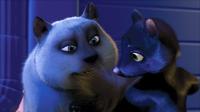 Over the Hedge - 8 x 10 Color Photo #10