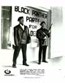 Panther - 8 x 10 B&W Photo #8
