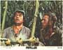 Papillon - 8 x 10 Color Photo #2