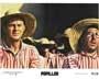 Papillon - 8 x 10 Color Photo #3