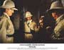 Papillon - 8 x 10 Color Photo #4