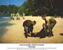Papillon - 8 x 10 Color Photo #5