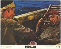 Papillon - 8 x 10 Color Photo #1