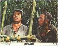 Papillon - 8 x 10 Color Photo #2