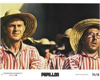 Papillon - 8 x 10 Color Photo #3