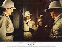 Papillon - 8 x 10 Color Photo #4