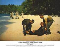 Papillon - 8 x 10 Color Photo #5