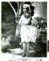 Paradise, Hawaiian Style - 8 x 10 B&W Photo #3