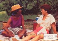 Passion Fish - 8 x 10 Color Photo #2