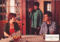 Passion Fish - 8 x 10 Color Photo #5