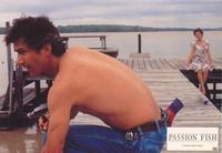 Passion Fish - 8 x 10 Color Photo #6
