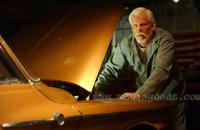 Peaceful Warrior - 8 x 10 Color Photo #7