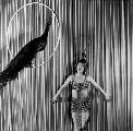 Peacock Alley - 8 x 10 B&W Photo #2
