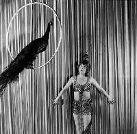 Peacock Alley - 8 x 10 B&W Photo #2