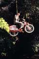 Pee wee's Big Adventure - 8 x 10 Color Photo #8