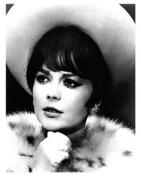 Penelope - 8 x 10 B&W Photo #7