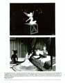 Peter Pan - 8 x 10 B&W Photo #2