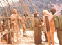 Planet of the Apes - 8 x 10 Color Photo #1