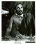 Planet of the Apes - 8 x 10 B&W Photo #1